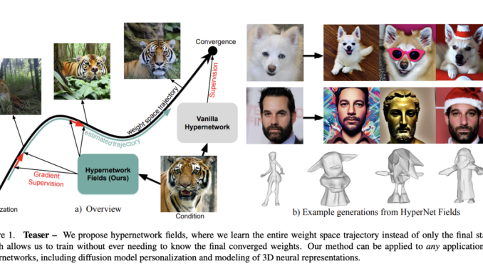 Hypernetwork Fields: Efficient Gradient-Driven Training for Scalable Neural Network Optimization