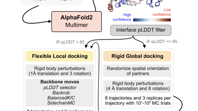 Enhancing Protein Docking with AlphaRED: A Balanced Approach to Protein Complex Prediction