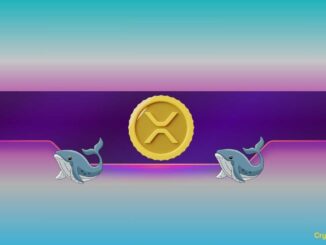 How Will Ripple (XRP) and Dogecoin (DOGE) Prices React as Whales Keep Buying?