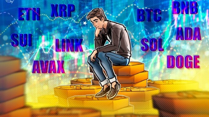 BTC, ETH, XRP, BNB, SOL, DOGE, ADA, LINK, SUI, AVAX