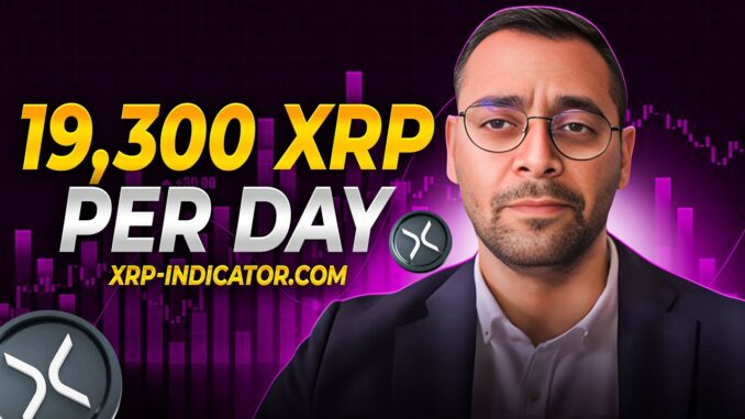 Guide to Ripple Arbitrage Trading: 9-14% Profit with This XRP Strategy