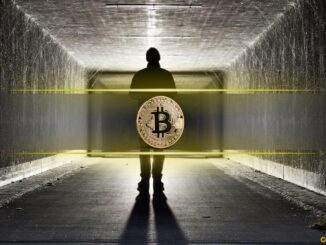 Was Satoshi Nakamoto Active Until 2014?