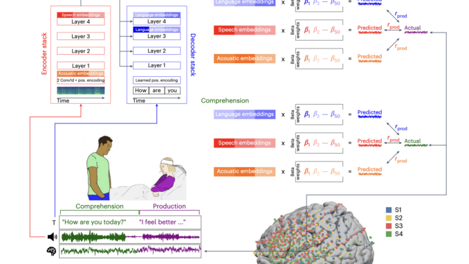 A Unified Acoustic-to-Speech-to-Language Embedding Space Captures the Neural Basis of Natural Language Processing in Everyday Conversations