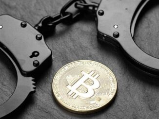 Indian Authorities Arrest Founder of Sanctioned Russian Crypto Exchange Garantex