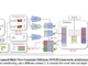 MVGD from Toyota Research Institute: Zero Shot 3D Scene Reconstruction