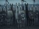 Photo of llamas carrying shields as Meta launches new Llama AI model security tools designed to help cybersecurity teams and developers harness artificial intelligence for defence.