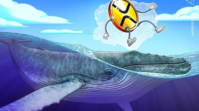 XRP whale flow and technical setup hint at 40% price XRP whale flow and technical setup hint at 40% price boom next