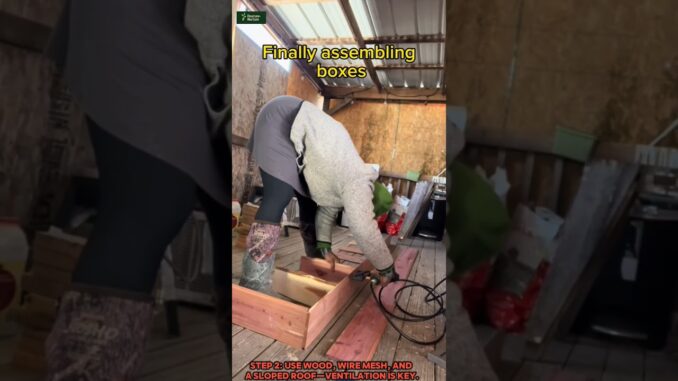 DIY Chicken Coop Setup (Quick Guide)ChickenCoopDIY #BackyardChickens #HomesteadingLife #farming #ai